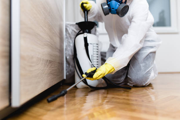Best Pest Prevention Services  in Singac, NJ