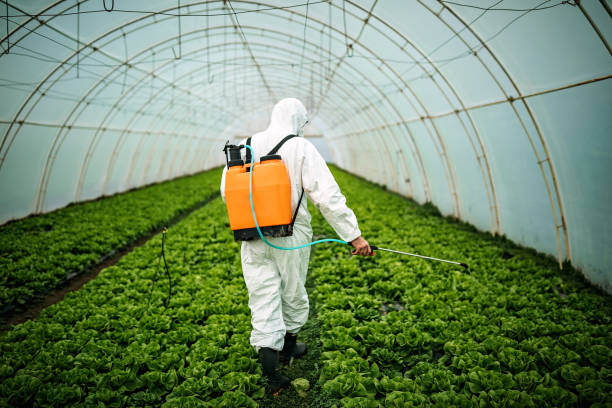 Best Affordable Pest Control Services  in Singac, NJ