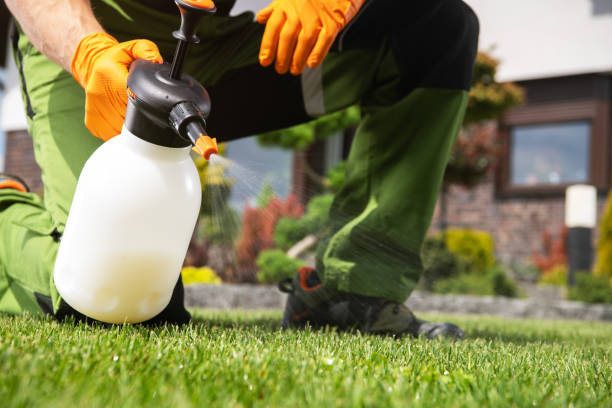 Wildlife Control Services in Singac, NJ