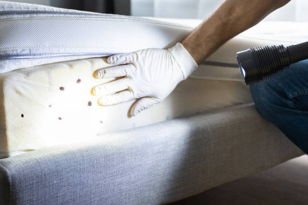 Best Pest Inspection Near Me  in Singac, NJ