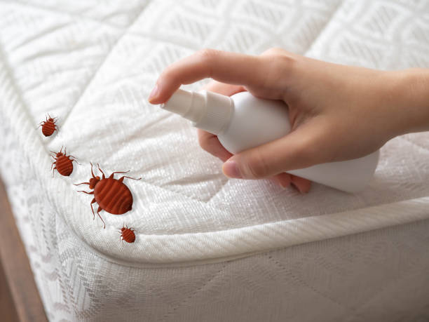 Best Residential Pest Control  in Singac, NJ
