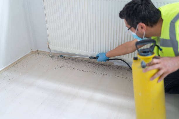 Best Pest Control Near Me  in Singac, NJ
