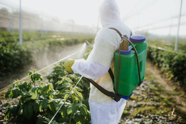 Best Pest Removal Services  in Singac, NJ